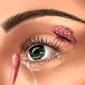 LACRIMAISEORBITA 300x300.png - H. Olhos Maricá